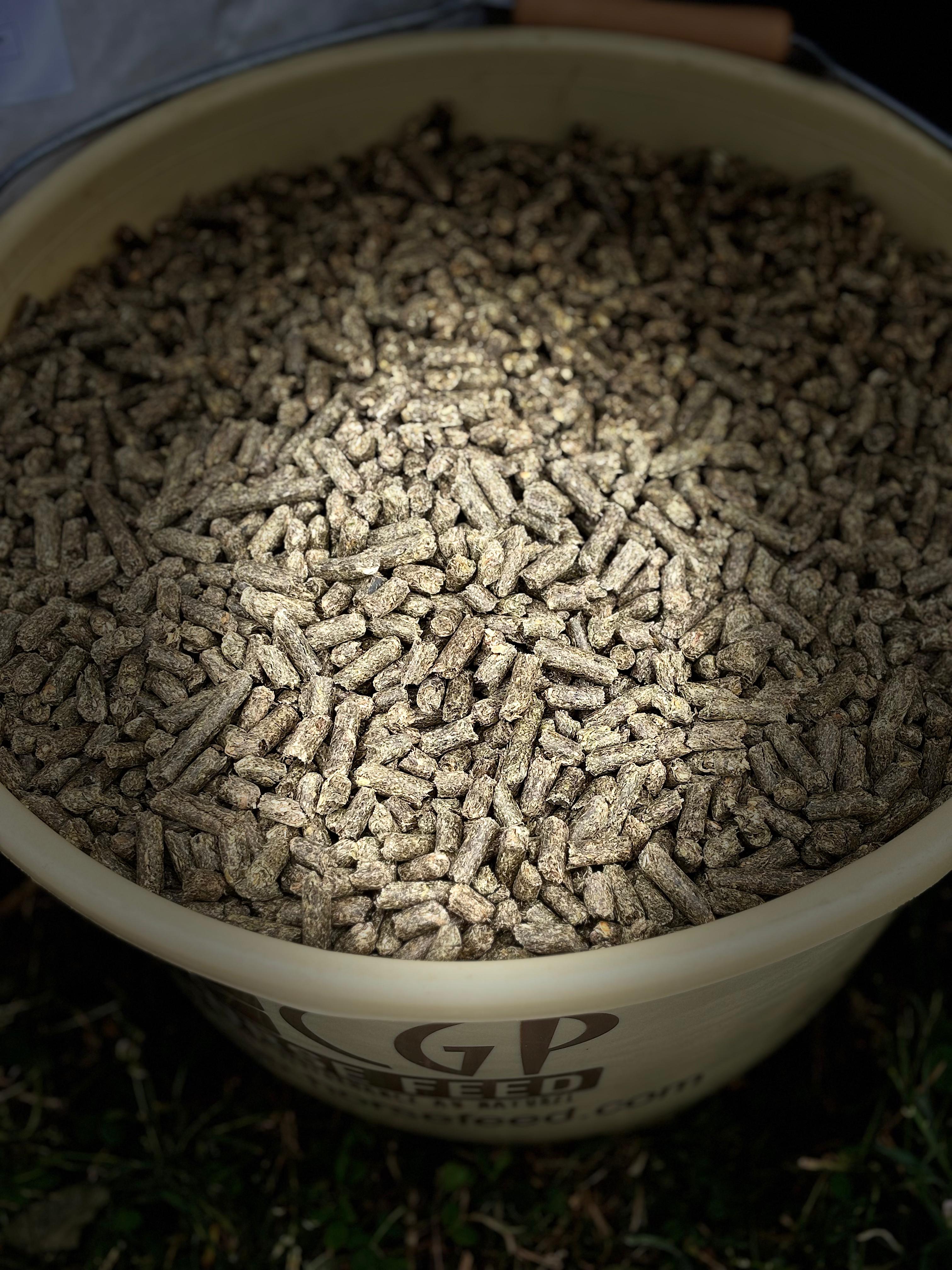 IG - Italian Grass - 100% Foin