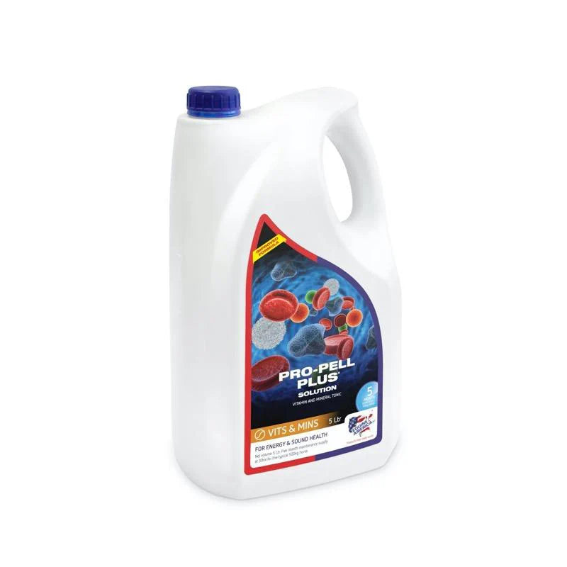 Pro-Pell Plus® liquide - booster sanguin