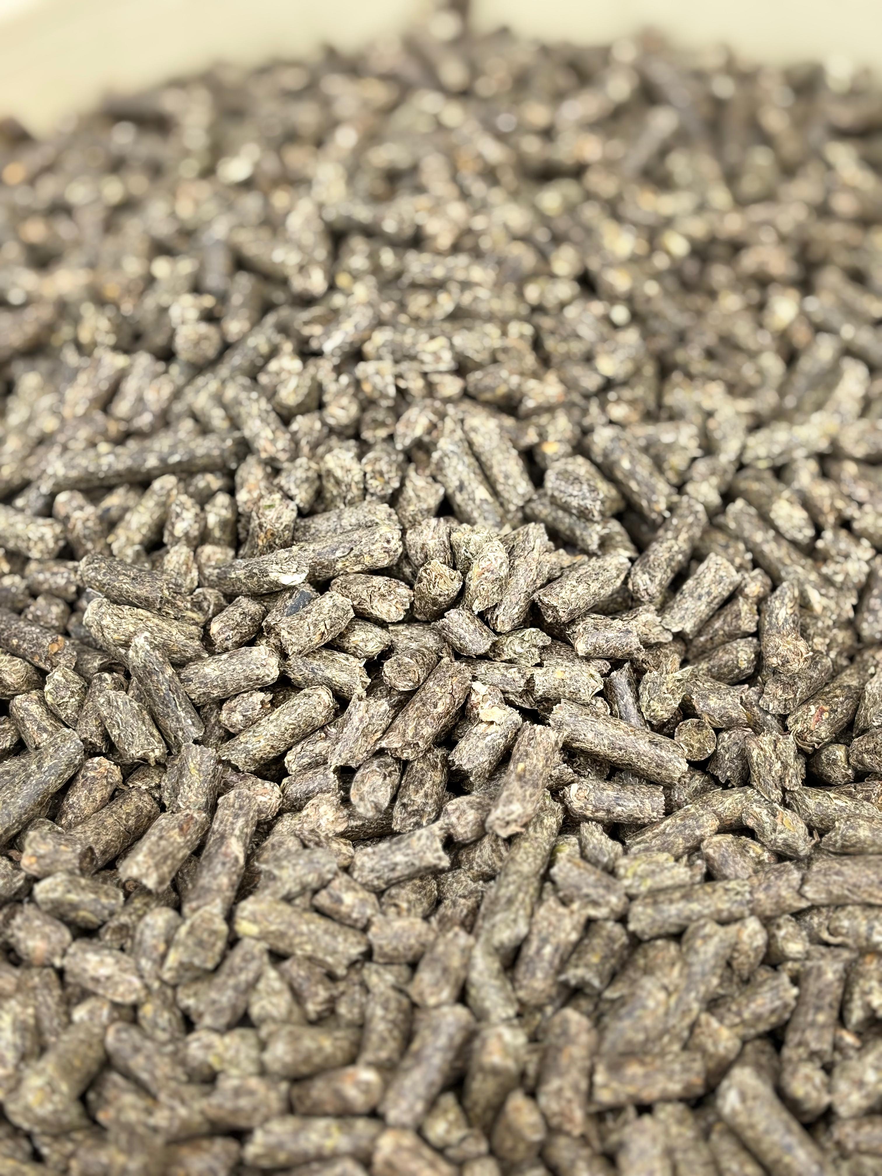 IG - Italian Grass - 100% Foin